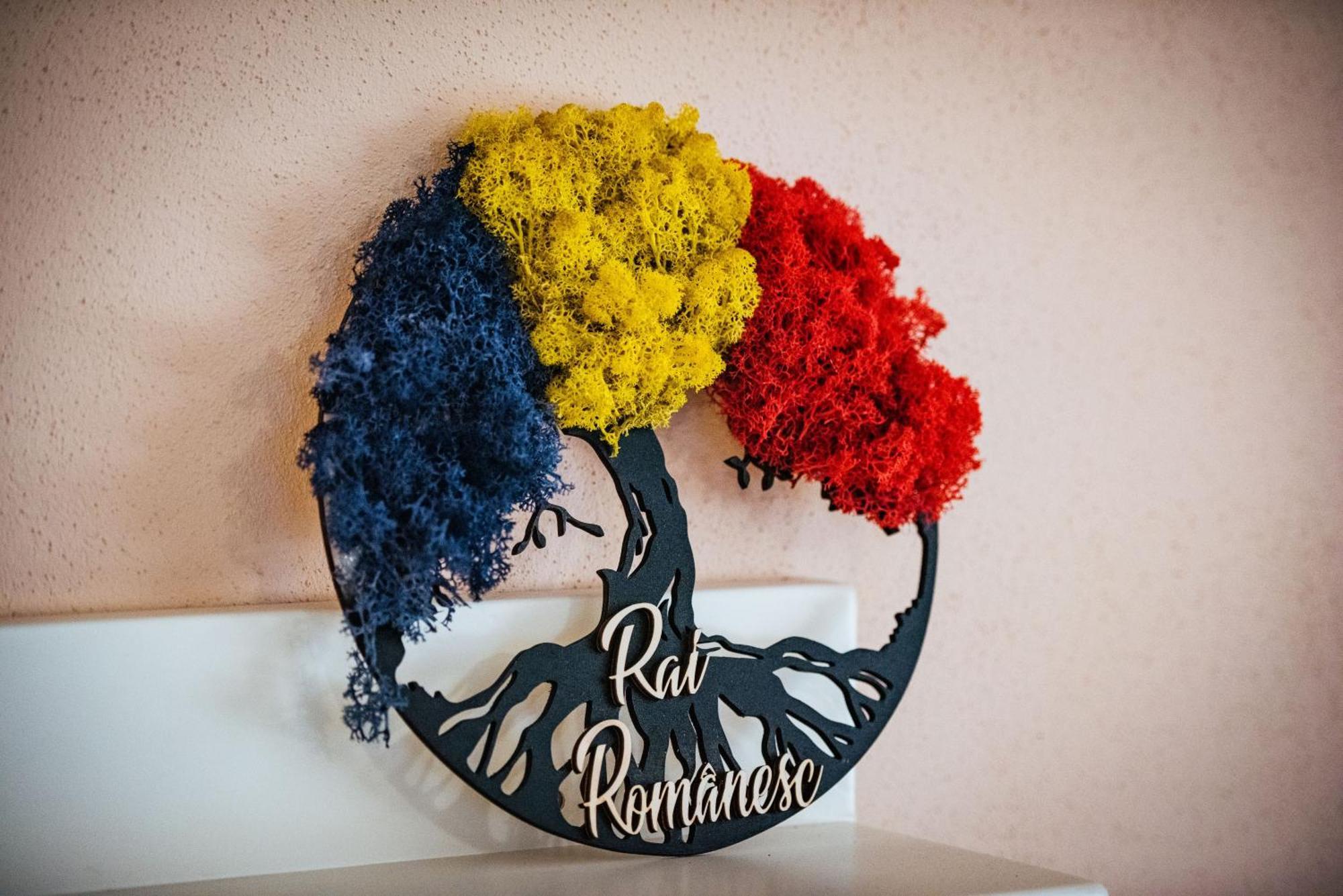 Rai Romanesc Saliste  Exterior photo